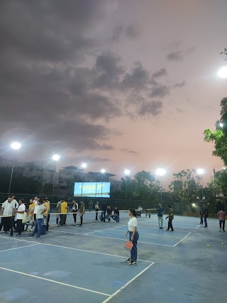 Pickleblitz Arena