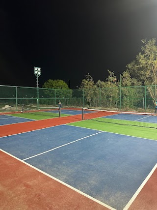 SS pickleball