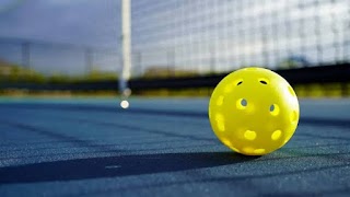 Elite Pickle Ball Motera