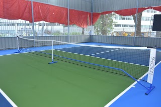 Ballpark Pickleball court