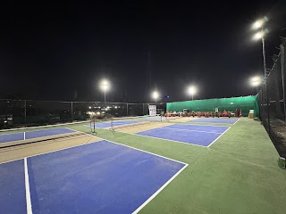 Backyard Pickleball Arena