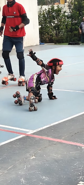 Chanakya Elite Skating and Pickle ball coaching centre