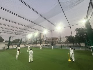 DCS Sports Cricket box and Pickel ball