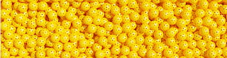 Amateur Telangana Pickleball Association