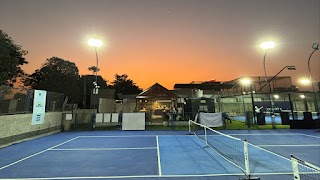 Dink Pickleball, Pal