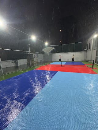 Pickleball Best Sport