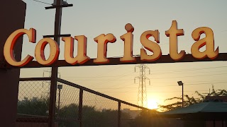 Courista